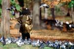 Pigeons, Central Park, Manhattan, autumn, ABDV01P02_19