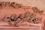 Swallow Nests, Canyonlands National Park, Utah, ABPV01P04_07.3343