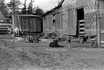 goats, barn, Shed, outdoors, outside, exterior, rural, building, Cotati, Sonoma County, ACFPCD0661_054