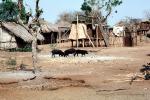 Village, huts, Africa, Shanty Town, Grass Huts, ACFV01P05_08