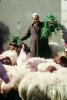 Sheep, Cairo, ACFV03P11_04