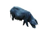 Black Pig, photo-object, object, cut-out, cutout, ACFV04P05_16F