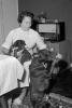 Woman with dogs, radio, 1950s, ADSPCD1187_007