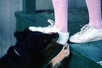 Dog biting girls shoe, lace, stockings, ADSV01P03_16