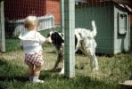 Baby, Fence, Dog, English Cocker Spaniel, doghouse, 1950s, ADSV02P04_19