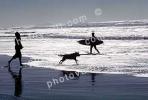 Fetching a Ball, running, sand, beach, surfboard, Pacific Ocean, surfer, waves, Ocean-Beach, ADSV03P05_07