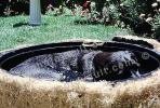 Labrador Retriever in a bath, ADSV03P06_05