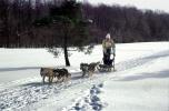 Dog Sledding, sled, husky, ADSV03P15_05