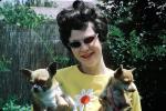 Chihuahua, small dog breed, cateye sunglasses, 1960s, ADSV04P03_15