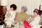 women sitting on a sofa, couch, Chihuahua, small dog breed, 1960s, ADSV04P03_16