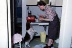 Doggy Treat time, 1950s, ADSV04P04_04