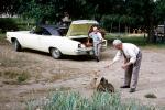 Stray Cats, Man, Dodge Car, Trunk, 1960s, AFCV03P15_16