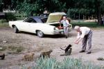 Stray Cats, Man, Dodge Car, Trunk, 1960s, AFCV03P15_18