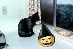 Pumpkin with a dunce cap, table, Wall Socket, Black Cat, tiny black panther, AFCV04P01_02