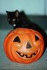 Black Cat behind an orange plastic smiling pumpkin, AFCV04P02_09