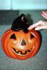Black Cat inside an orange plastic smiling pumpkin, AFCV04P02_10