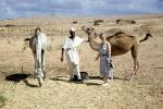 woman, man, tourist, Dromedary Camel, (Camelus dromedarius), Camelini, Desert, Sand Dunes, near Tripoli, Libya, 1950s, AMLV01P10_12