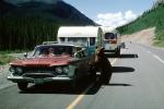 Plymouth Stationwagon, trailer, Feeding the Bear, Dangerous Behavior, cars, bus, 1950s, AMUV01P12_19