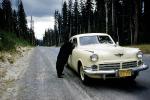 Begging Bear, Studebaker Commander, Sedan, Cars, automobile, vehicles, 1956, 1950s, AMUV01P14_11