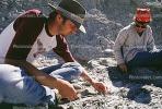 Maiasaurus excavation, Badlands, Montana, APDV01P14_07