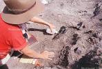 Maiasaurus excavation, Badlands, Montana, APDV01P15_01