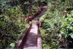 boy walking, steps, stairs, jungle, CADV01P02_13.0625