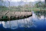 Kashmir, river, water, reflection, CAIV04P03_10