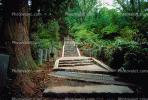 Stairs, Steps, woodland, forest, Nikko, CAJV02P02_09.0628