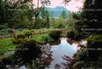 Peaceful Pond, Lake, garden, Nikko, CAJV02P04_17.0628