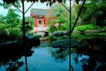 Garden, pond, stone, rocks, water, trees, Buddhist Shrine, Gotemba, CAJV02P12_03.3339