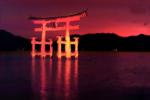 Miyajima, Torii Gate, Paintography, sunset, CAJV03P06_18