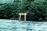 Torii Gate, trees, shore, shoreline, CAJV04P04_17