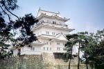 Odawara Castle, landmark building, CAJV04P09_19