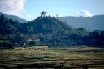Kathmandu Valley, CANV01P11_02.3340