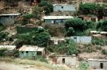 Hill, Homes, Houses, Streets, buildings, shantytown, city, Caracas, Venezuela, CBVV01P03_06