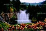 Garden, flowers, Water Fountain, aquatics, trees, The Butchart Gardens, Vancouver, CCBV01P01_15.1514