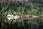 Harbor, Forest, Reflection, Village, Woodland, Trees, CCBV01P15_14