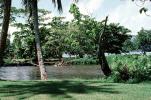 Gauguin Botanical Garden, Papeete, CDPV01P09_05