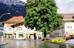Tree, Buildings, cars, Garmisch, Garmisch-Partenkirchen, Bavaria, L?ftlmalerei, Fairytale, Wall Art, Luftlmalerei, wall-painting, CEGV06P13_13