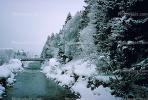 Bridge, River, Trees, Snow, Cold, Forest, Woodland, Saint Moritz, Switzerland, 1950s, CESV01P08_03.1671