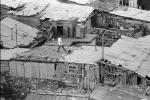 Man Walking on a Roof, pigeons, homes, houses, shantytown, Yerevan, CGAPCD2930_043