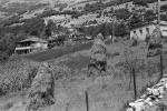Hay Stacks, homes, houses, hill, hillside, CGGPCD2930_036