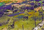 Hay Stacks, homes, houses, hill, hillside, CGGPCD2930_036B