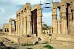 Temple of Luxor, Buildings, Monuments, Landmarks, CJEV01P11_12
