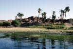 Nile River, Palm trees, CJEV03P03_02