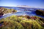 Rocks, Ocean, Shoreline, Seaweed, Mountains, Table Mountain National Park, Cape Town, CKFV01P06_01