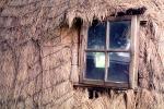 Beehive Grass Hut, window, Glass, Building, Cape Town, Sod, CKFV01P08_16