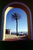 Palm Tree, Sand, Beach, Arch, Building, Cape Town, CKFV01P09_02