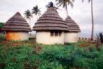Hut, Building, Thatched Roof House, Home, Grass Roofs, roundhouse, palm trees, Maputo, Sod, CKMV01P02_12