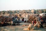 desertification, Thatched Roof House, Home, Grass Roof, buildings, Refugee Camp, Somalia, building, Sod, CKSV01P02_16